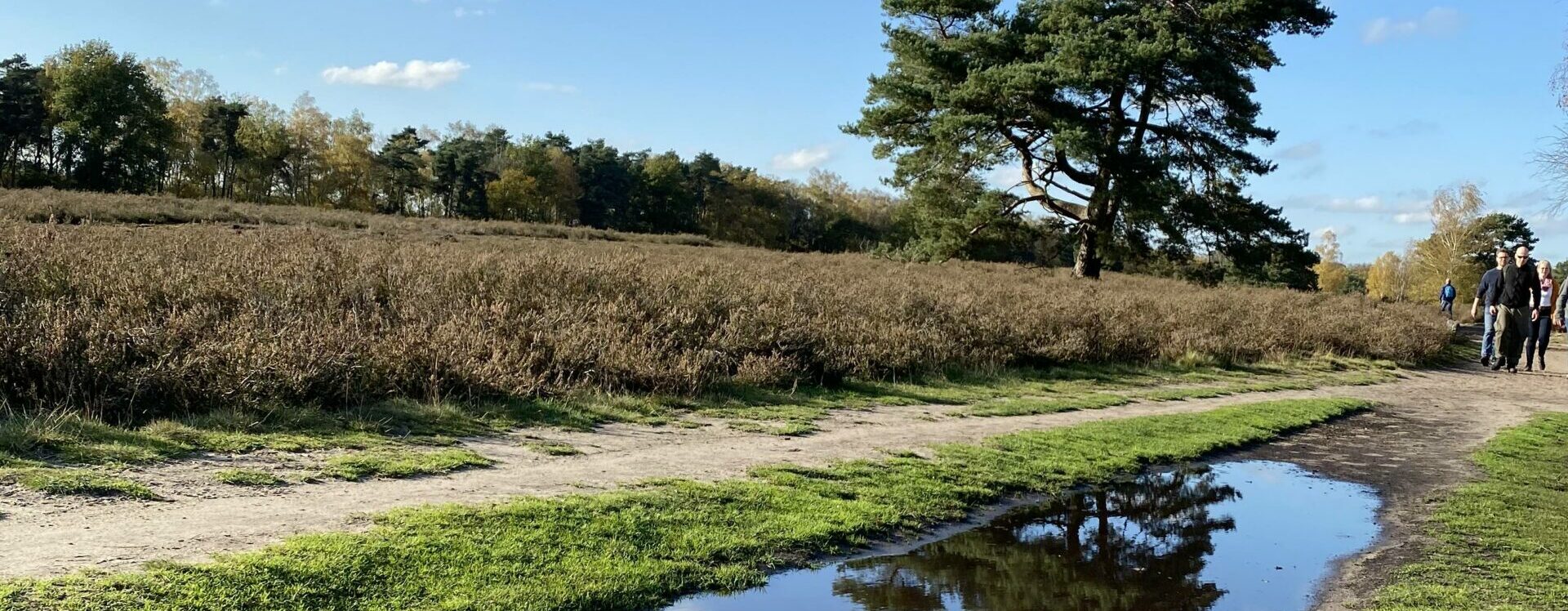 Permalink zu:Den Weg, den du mir vorschreibst, gehe ich, du hast mein Herz dazu bereitgemacht.
